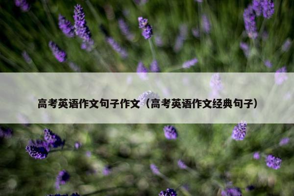 高考英语作文句子作文（高考英语作文经典句子）