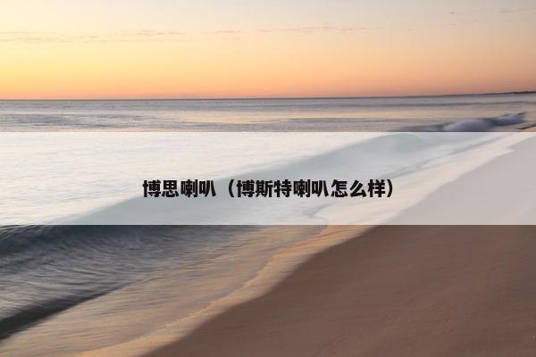博思喇叭（博斯特喇叭怎么样）