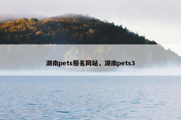 湖南pets报名网站，湖南pets3