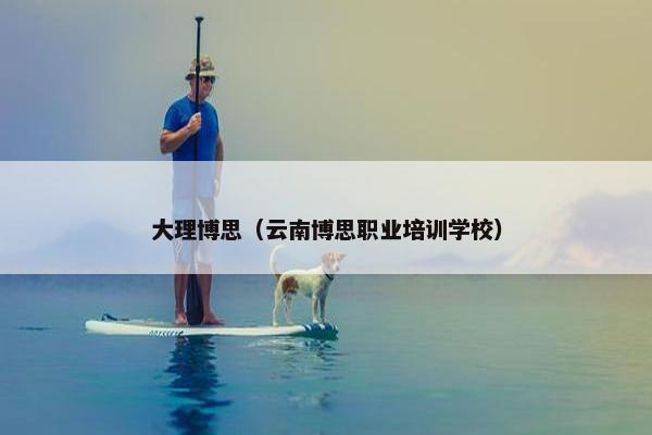 大理博思（云南博思职业培训学校）