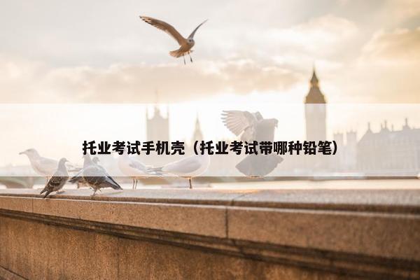 托业考试手机壳（托业考试带哪种铅笔）