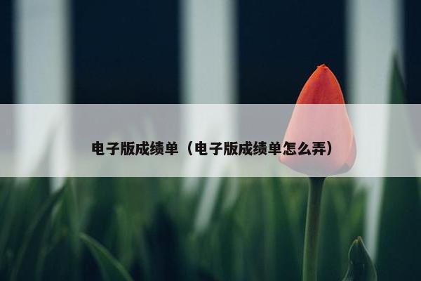 电子版成绩单（电子版成绩单怎么弄）