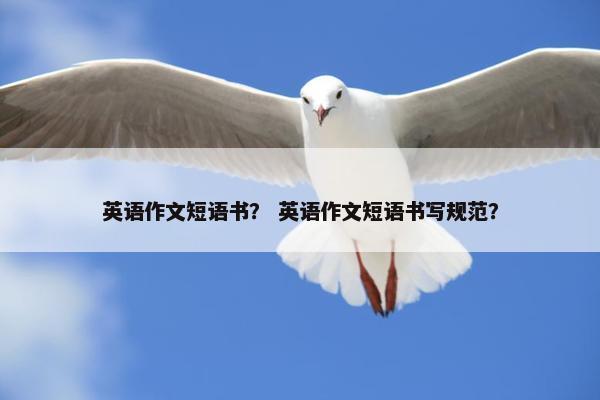 英语作文短语书？ 英语作文短语书写规范？