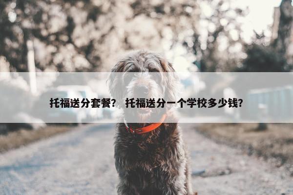托福送分套餐？ 托福送分一个学校多少钱？