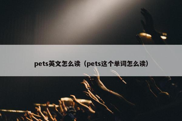 pets英文怎么读（pets这个单词怎么读）
