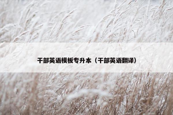 干部英语模板专升本（干部英语翻译）
