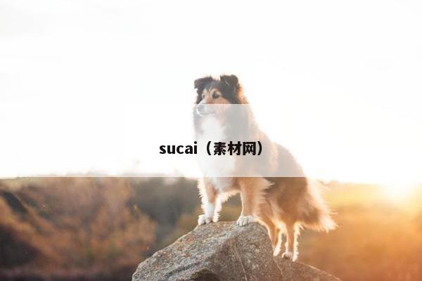 sucai（素材网）