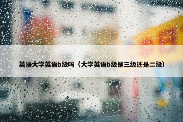 英语大学英语b级吗（大学英语b级是三级还是二级）