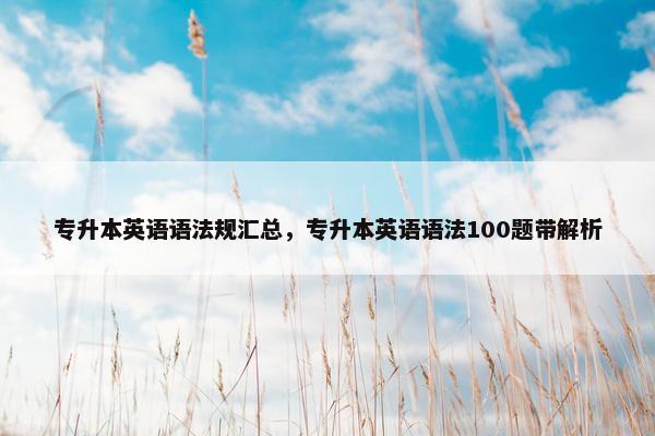 专升本英语语法规汇总，专升本英语语法100题带解析