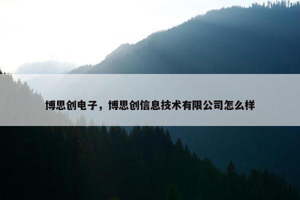 博思创电子，博思创信息技术有限公司怎么样