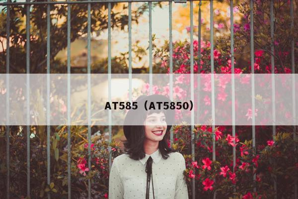 AT585（AT5850）