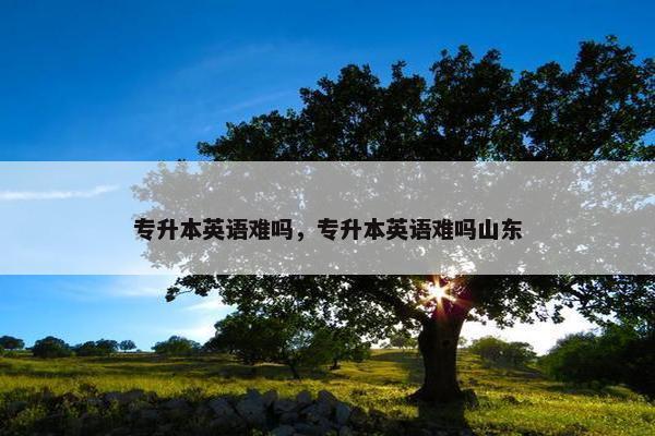 专升本英语难吗，专升本英语难吗山东