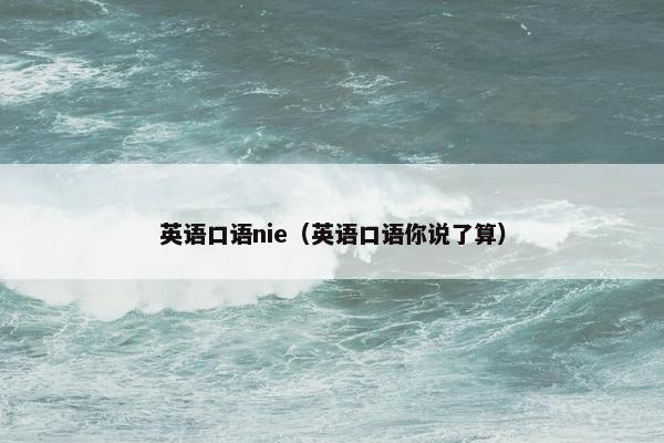 英语口语nie（英语口语你说了算）