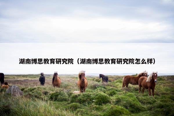 湖南博思教育研究院（湖南博思教育研究院怎么样）