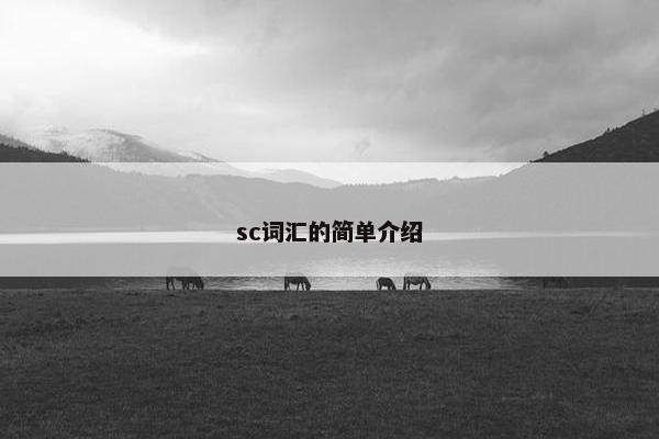 sc词汇的简单介绍