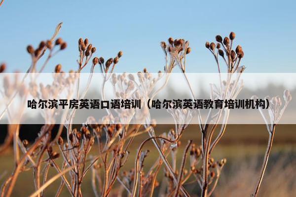 哈尔滨平房英语口语培训（哈尔滨英语教育培训机构）