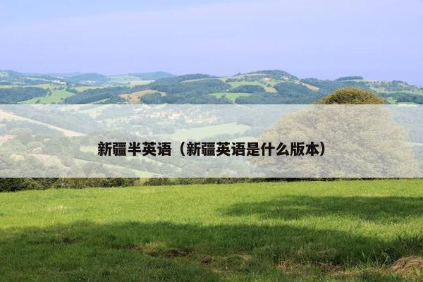 新疆半英语（新疆英语是什么版本）