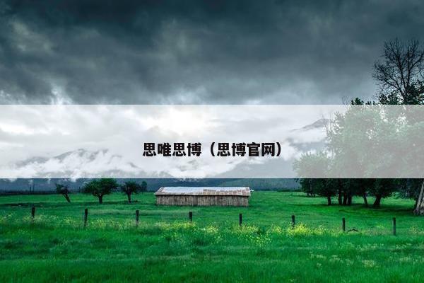 思唯思博（思博官网）