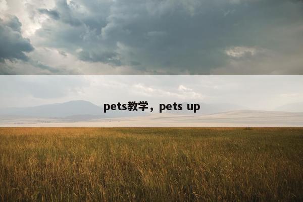 pets教学，pets up