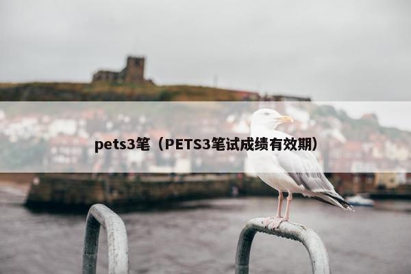 pets3笔（PETS3笔试成绩有效期）