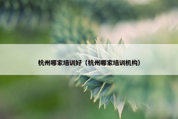 杭州哪家培训好（杭州哪家培训机构）