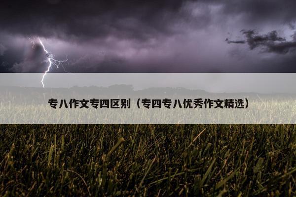 专八作文专四区别（专四专八优秀作文精选）