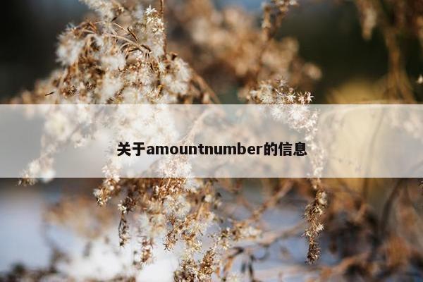 关于amountnumber的信息