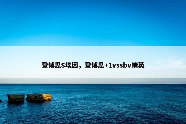 登博思S埃因，登博思+1vssbv精英