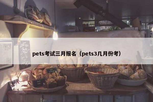 pets考试三月报名（pets3几月份考）