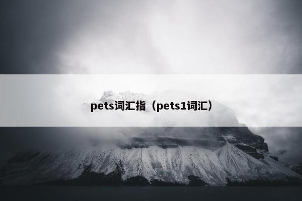 pets词汇指（pets1词汇）