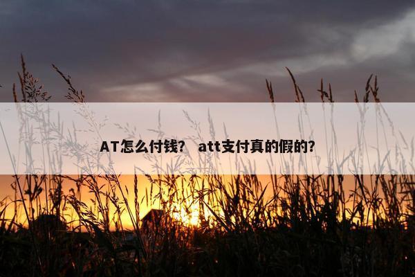 AT怎么付钱？ att支付真的假的？