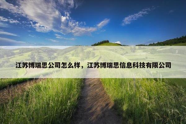 江苏博瑞思公司怎么样，江苏博瑞思信息科技有限公司