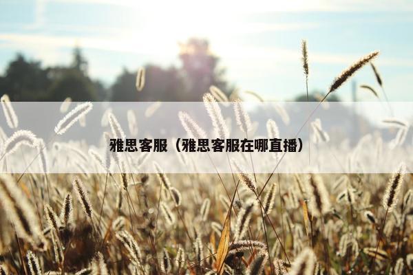 雅思客服（雅思客服在哪直播）
