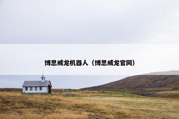 博思威龙机器人（博思威龙官网）