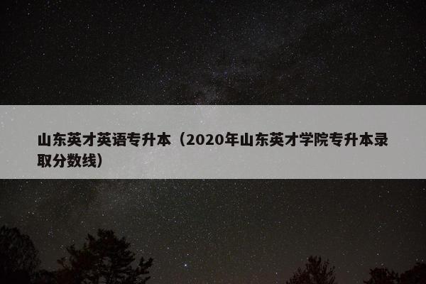 山东英才英语专升本（2020年山东英才学院专升本录取分数线）