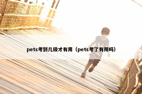 pets考到几级才有用（pets考了有用吗）