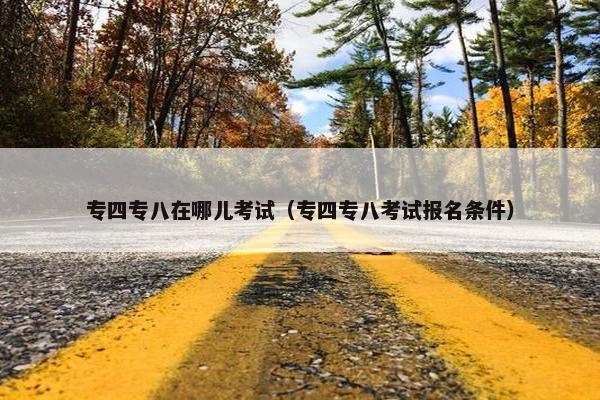 专四专八在哪儿考试（专四专八考试报名条件）