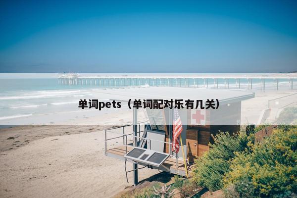 单词pets（单词配对乐有几关）