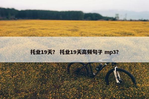 托业19天？ 托业19天高频句子 mp3？