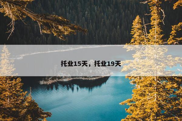 托业15天，托业19天