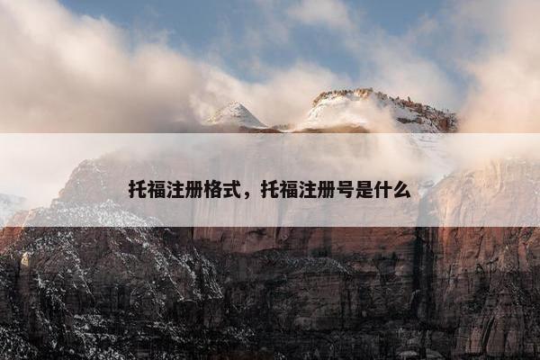 托福注册格式，托福注册号是什么