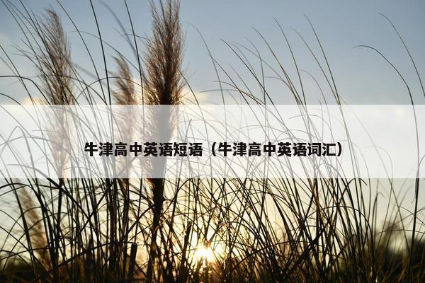 牛津高中英语短语（牛津高中英语词汇）