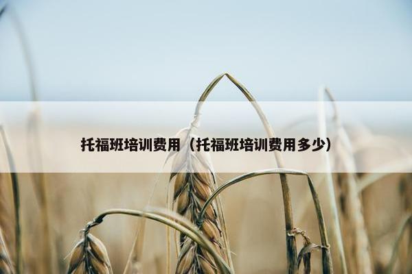 托福班培训费用（托福班培训费用多少）