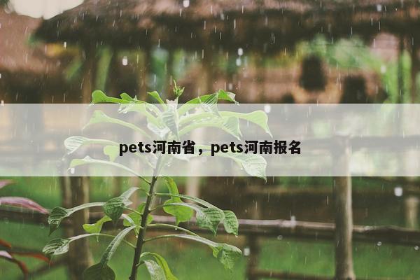 pets河南省，pets河南报名