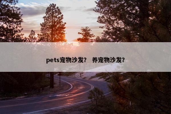 pets宠物沙发？ 养宠物沙发？