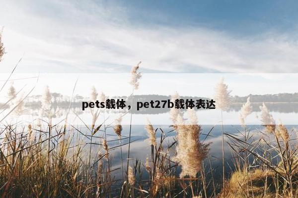 pets载体，pet27b载体表达