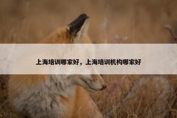 上海培训哪家好，上海培训机构哪家好