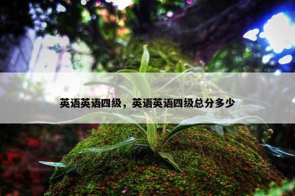 英语英语四级，英语英语四级总分多少