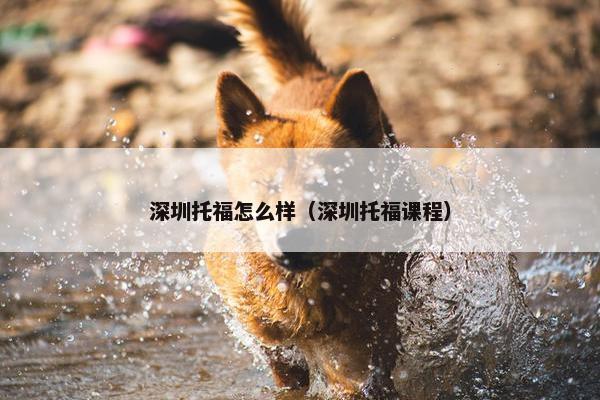深圳托福怎么样（深圳托福课程）