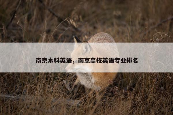 南京本科英语，南京高校英语专业排名